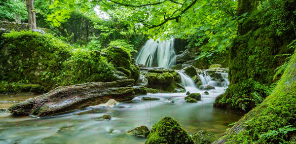 Изображение товара Туалетная вода Tesori d'Oriente Кашмирское сандаловое дерево и ветивер (100мл)