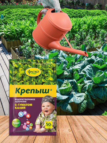 Изображение товара Удобрение Фаско Крепыш с гуматом калия (50г)