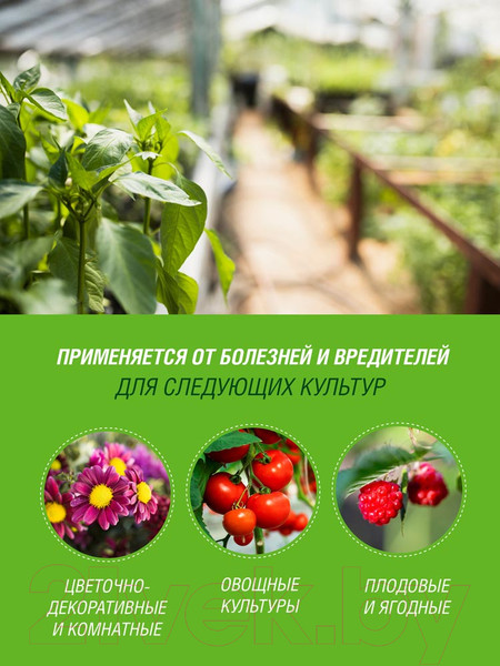 Изображение товара Удобрение Фаско Инта-Вир Зеленое мыло (250мл)