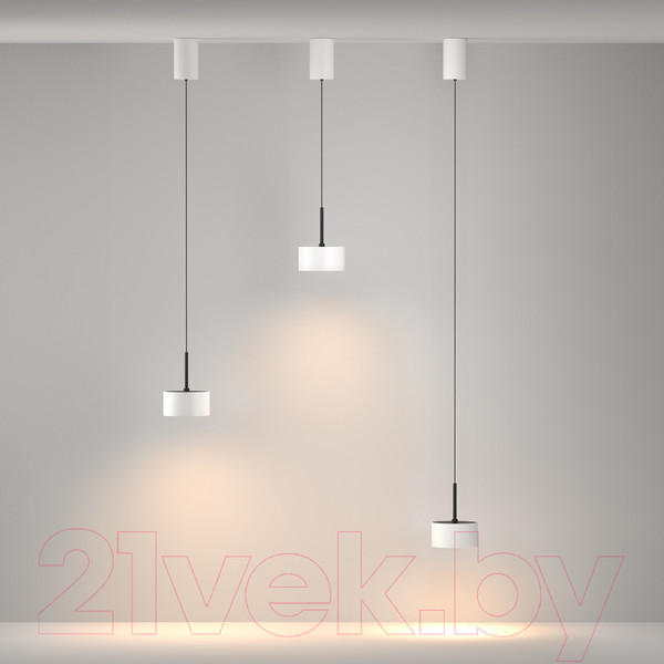 Изображение товара Потолочный светильник Maytoni Pendant P102PL-12W3K-W