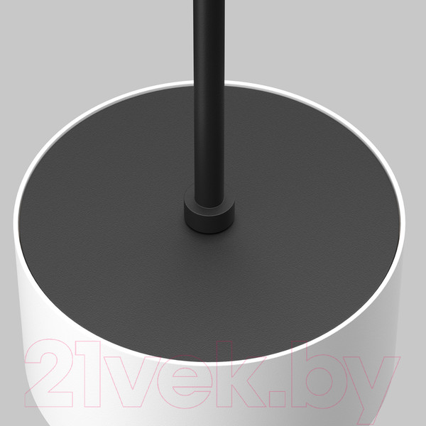 Изображение товара Потолочный светильник Maytoni Pendant P102PL-12W4K-W