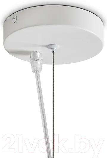 Изображение товара Потолочный светильник Freya Mound FR5428PL-01W2