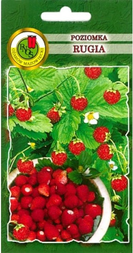 Изображение товара Семена PNOS Земляника Руяна (0.5г)