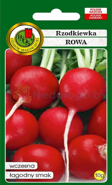 Изображение товара Семена PNOS Редис Рова (10г)