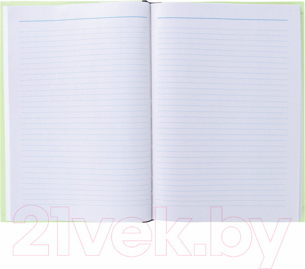 Изображение товара Книга учета Staff 130217 (96л)