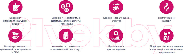 Изображение товара Лакомство для собак Molina Утиное филе на яблочных дольках / 4863 (50г)