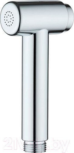 Изображение товара Лейка гигиенического душа Econoce EC0013