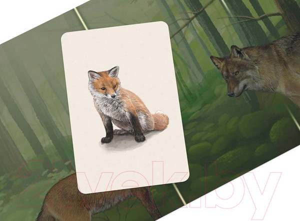 Изображение товара Настольная игра Стиль Жизни Смешанный лес / УТ100031066