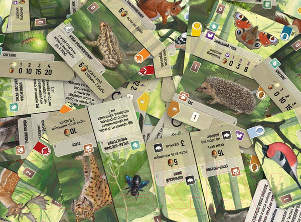 Изображение товара Настольная игра Стиль Жизни Смешанный лес / УТ100031066