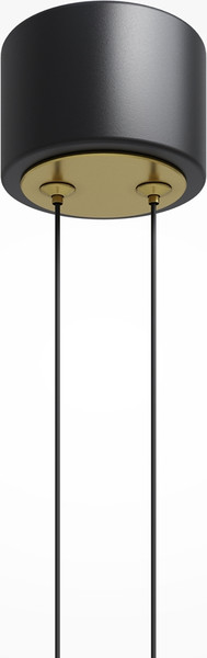 Изображение товара Люстра Maytoni Modern MOD357PL-L20BS3K