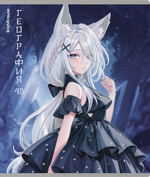 Изображение товара Тетрадь предметная Erich Krause Manga География / 59543