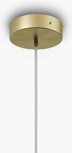 Изображение товара Потолочный светильник Maytoni Modern MOD302PL-01CG1