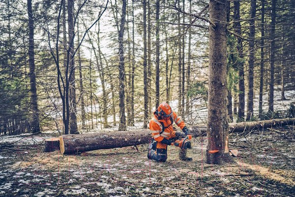 Изображение товара Бензопила цепная Husqvarna 562XP Mark II 18 (970 66 35-18)