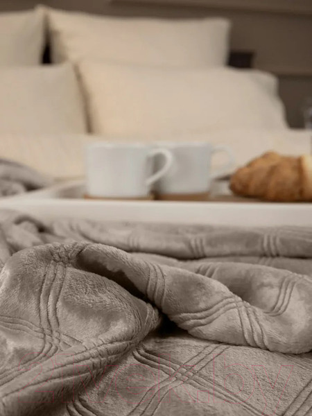 Изображение товара Плед TexRepublic Elite Клетка Фланель 1.5сп / 93373 (бежевый)