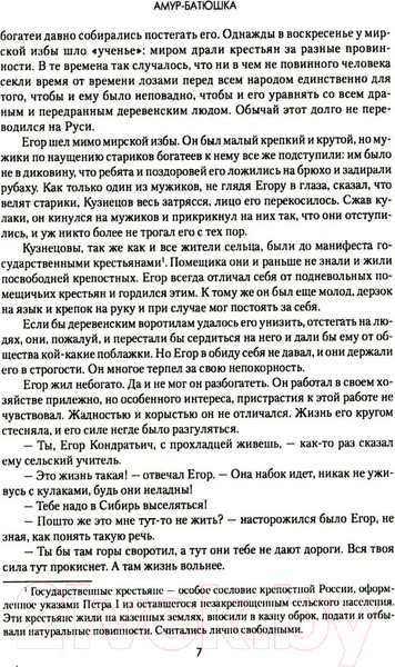 Изображение товара Книга Вече Амур-батюшка / 9785448448669 (Задорнов Н.)