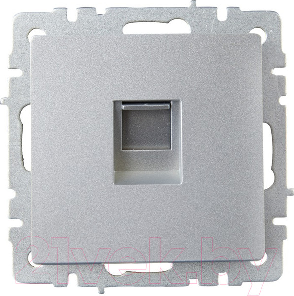 Изображение товара Розетка IEK Brite BR-K10-2-K47 (алюминий)