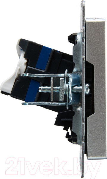 Изображение товара Розетка IEK Brite BR-K10-2-K47 (алюминий)