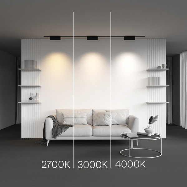 Изображение товара Трековый светильник Maytoni TR194-1-12W3K-M-B