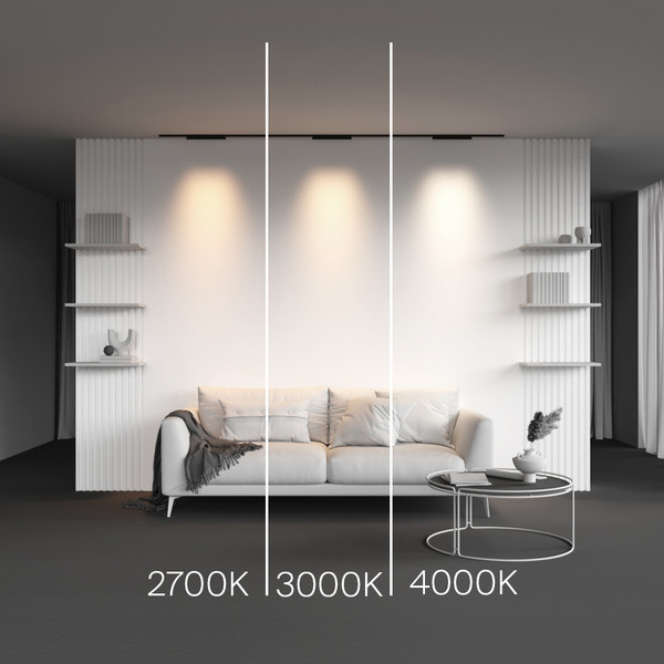 Изображение товара Трековый светильник Maytoni TR193-1-15W2.7K-M-B