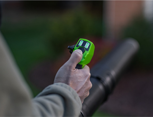 Изображение товара Воздуходувка аккумуляторная Greenworks GD40BPG2 (2408107)