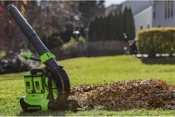 Изображение товара Воздуходувка аккумуляторная Greenworks GD40BPG2 (2408107)