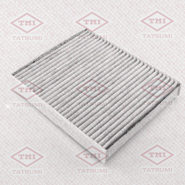 Изображение товара Салонный фильтр Tatsumi TBD1024C (угольный)