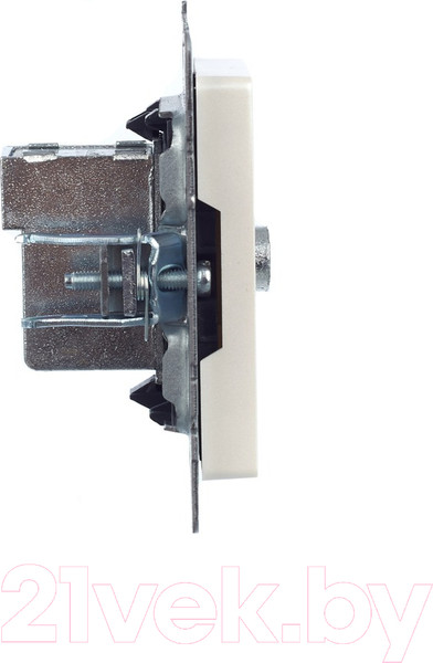 Изображение товара Розетка IEK Brite BR-A10-P-K36 (жемчуг)