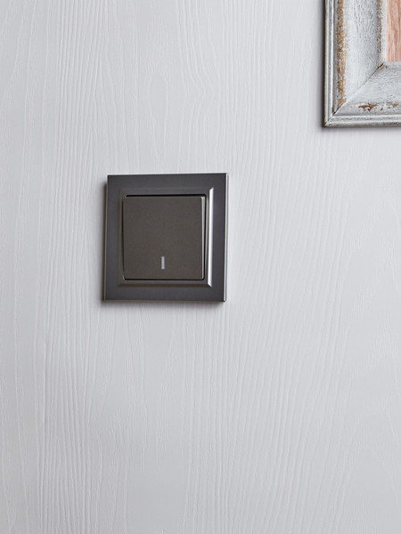 Изображение товара Выключатель IEK Brite BR-V12-1-10-K46 (сталь)