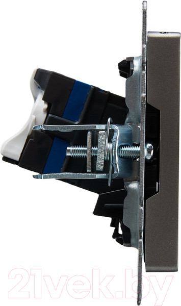 Изображение товара Розетка IEK Brite BR-K10-2-K46 (сталь)