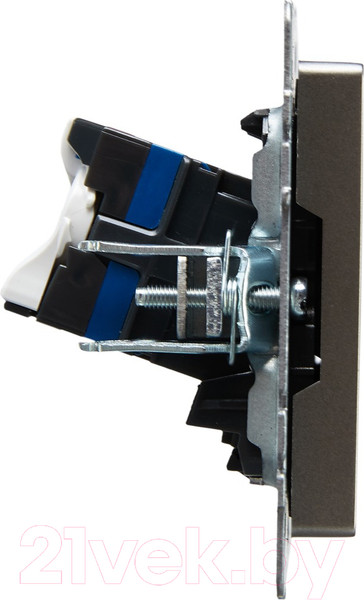 Изображение товара Розетка IEK Brite BR-K20-2-K46 (сталь)