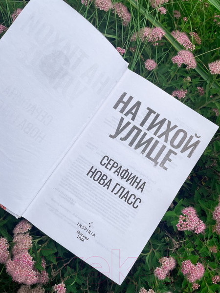 Изображение товара Книга Inspiria На тихой улице / 9785041959982 (Гласс С.)