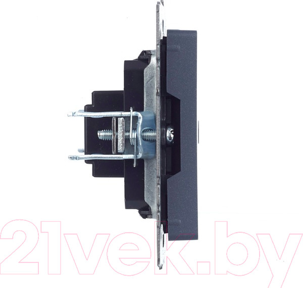 Изображение товара Розетка IEK Brite BR-H10-K35 (маренго)