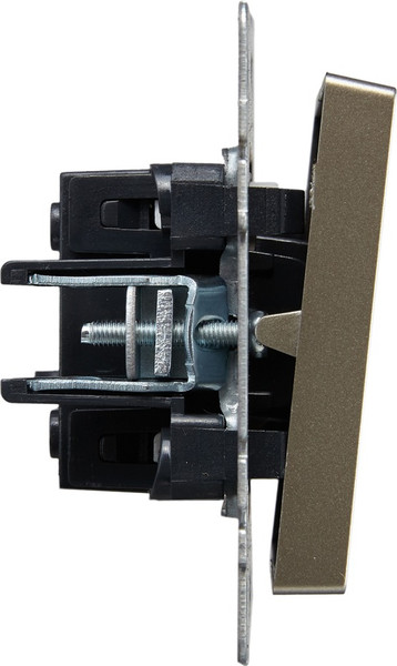 Изображение товара Выключатель IEK Brite BR-V12-1-10-K37 (шампань)