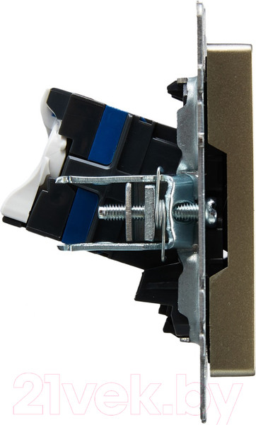 Изображение товара Розетка IEK Brite BR-K20-2-K37 (шампань)