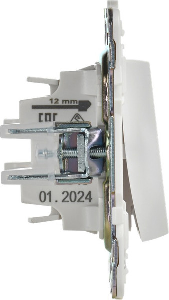 Изображение товара Выключатель IEK Skandy SK-V12-1-10-K01 (арктический белый)