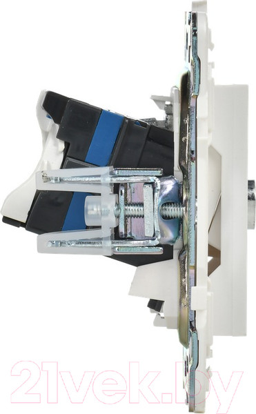 Изображение товара Розетка IEK Skandy SK-AK20-2-K01 (белый)