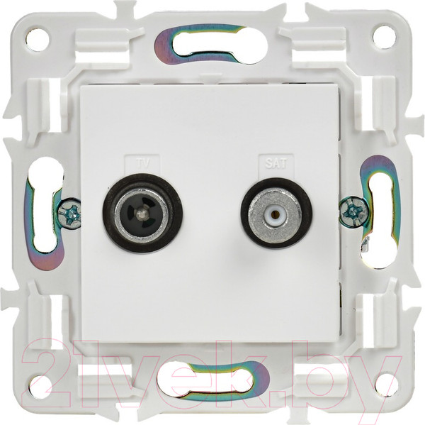 Изображение товара Розетка IEK Skandy SK-AF20-O-K01 (белый)