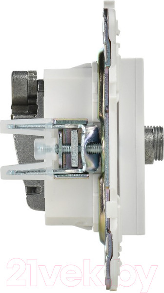 Изображение товара Розетка IEK Skandy SK-AF20-O-K01 (белый)