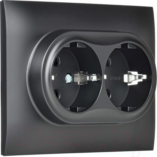 Изображение товара Розетка IEK Skandy SK-R24-16-K02-F (черный)