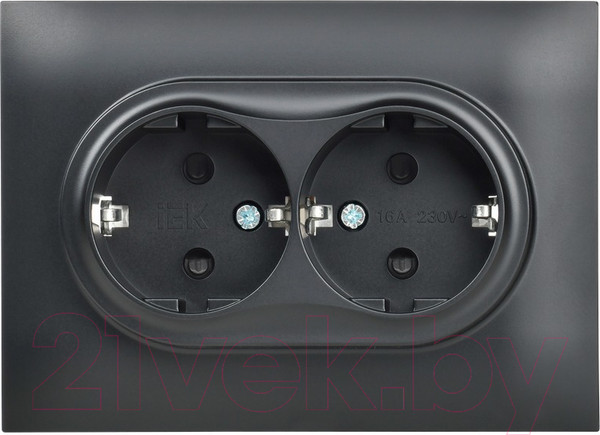 Изображение товара Розетка IEK Skandy SK-R24-16-K02-F (черный)
