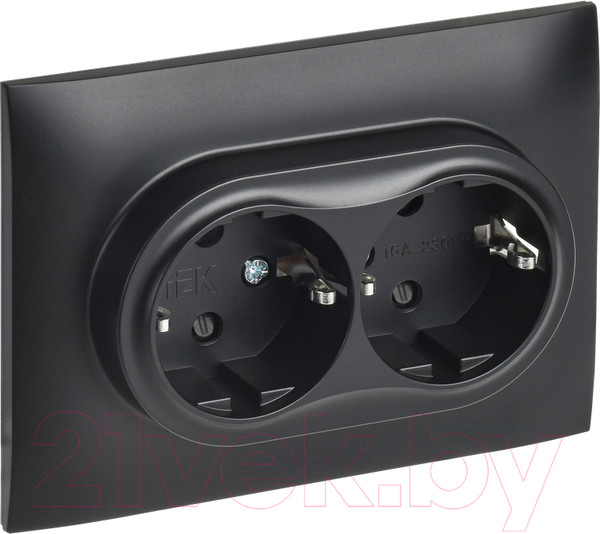 Изображение товара Розетка IEK Skandy SK-R24-16-K02-F (черный)