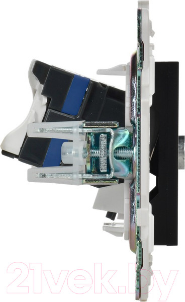 Изображение товара Розетка IEK Skandy SK-AK20-2-K02 (черный)