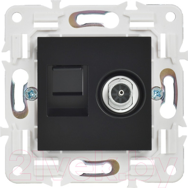 Изображение товара Розетка IEK Skandy SK-AK20-2-K02 (черный)