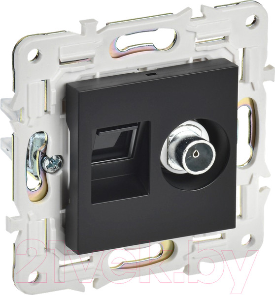 Изображение товара Розетка IEK Skandy SK-AK20-2-K02 (черный)