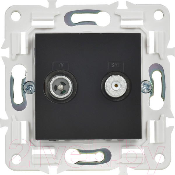 Изображение товара Розетка IEK Skandy SK-AF20-O-K02 (черный)