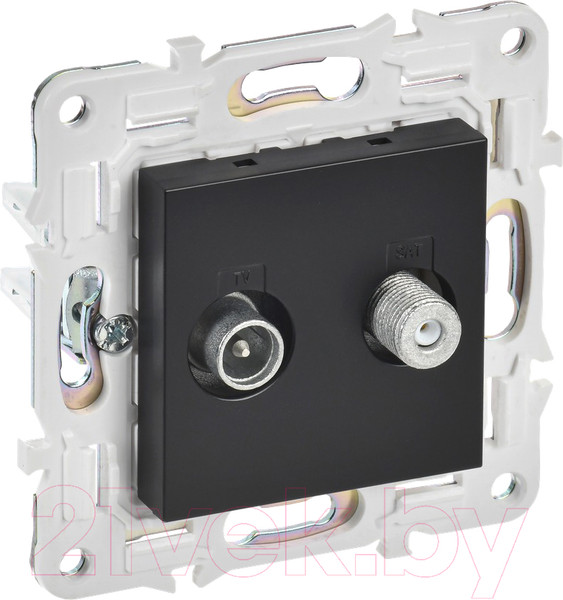 Изображение товара Розетка IEK Skandy SK-AF20-O-K02 (черный)