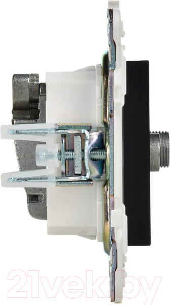 Изображение товара Розетка IEK Skandy SK-AF20-O-K02 (черный)