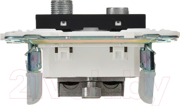 Изображение товара Розетка IEK Skandy SK-AF20-O-K02 (черный)