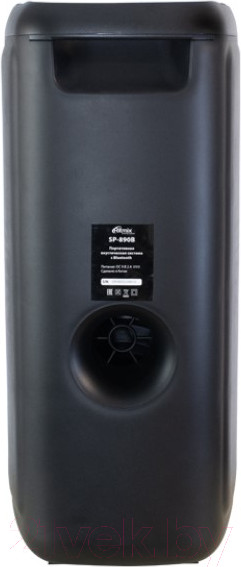 Изображение товара Портативная колонка Ritmix SP-890B (черный)