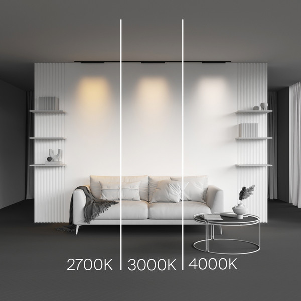 Изображение товара Трековый светильник Maytoni TR193-1-20W2.7K-M-B